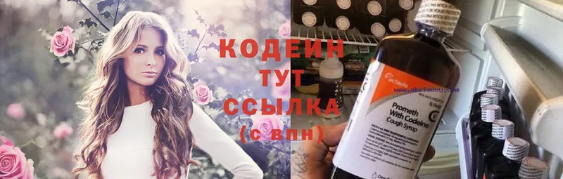 Codein Purple Drank  где найти   Болотное 